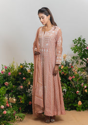 Tissue Chanderi Chikankari Anarkali - SC248251