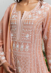 Tissue Chanderi Chikankari Anarkali - SC248251