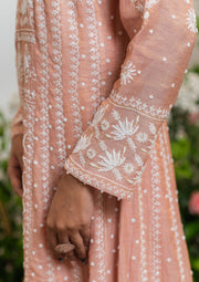 Tissue Chanderi Chikankari Anarkali - SC248251