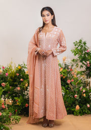 Tissue Chanderi Chikankari Anarkali - SC248251