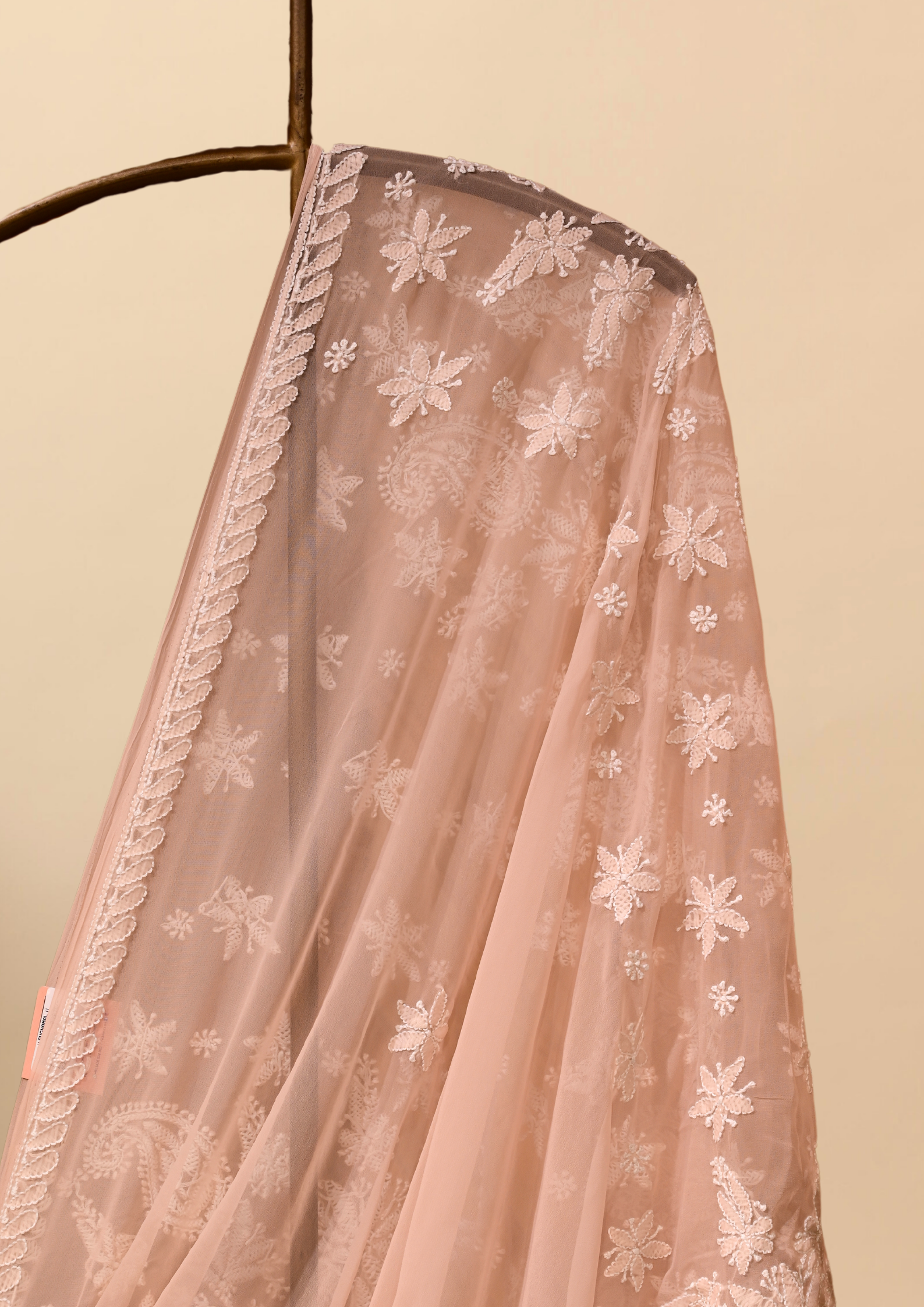 Georgette Chikankari Saree Beige Brown - SC246180