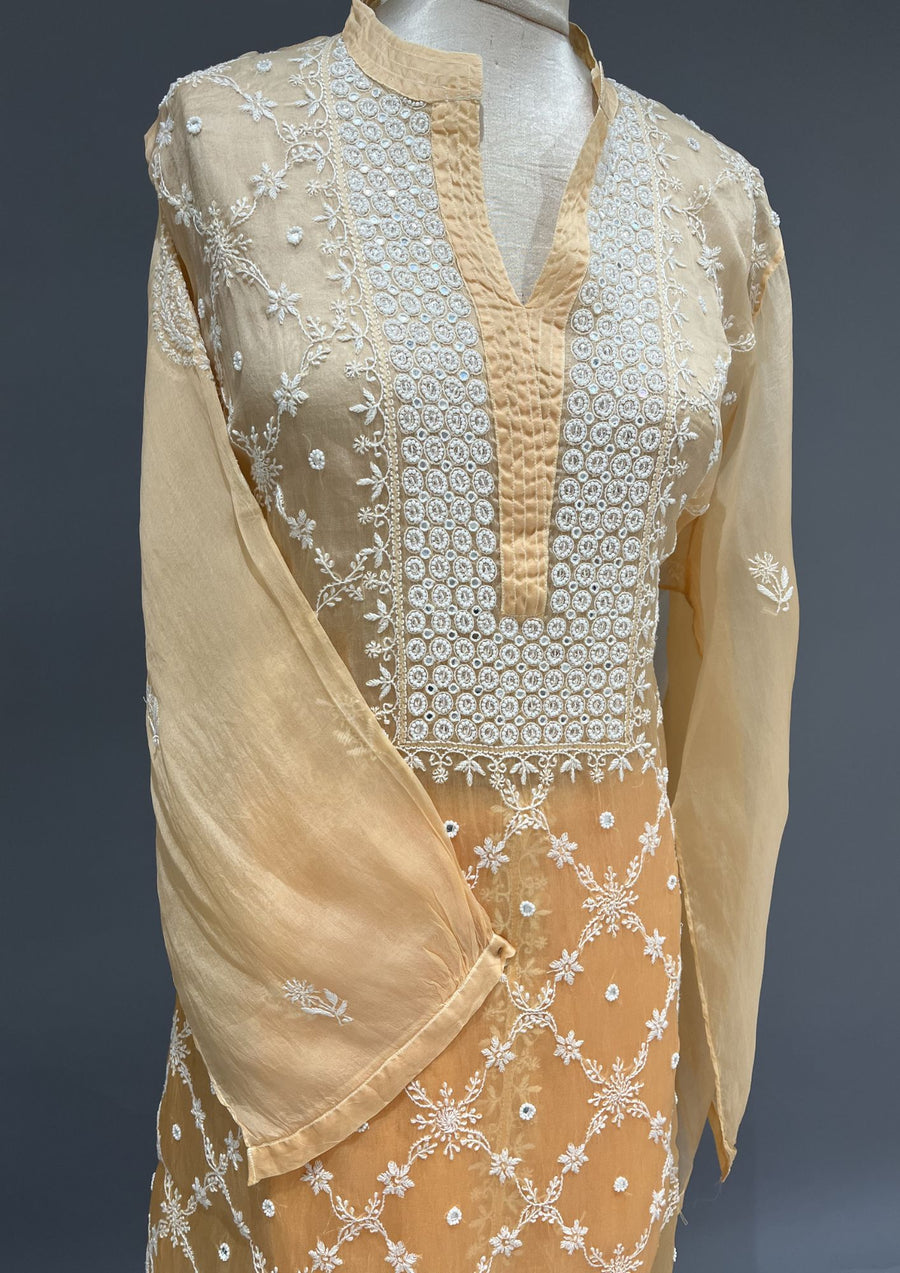 Organza Chikankari Semistitch Co-ord Set - Candlelight Orange