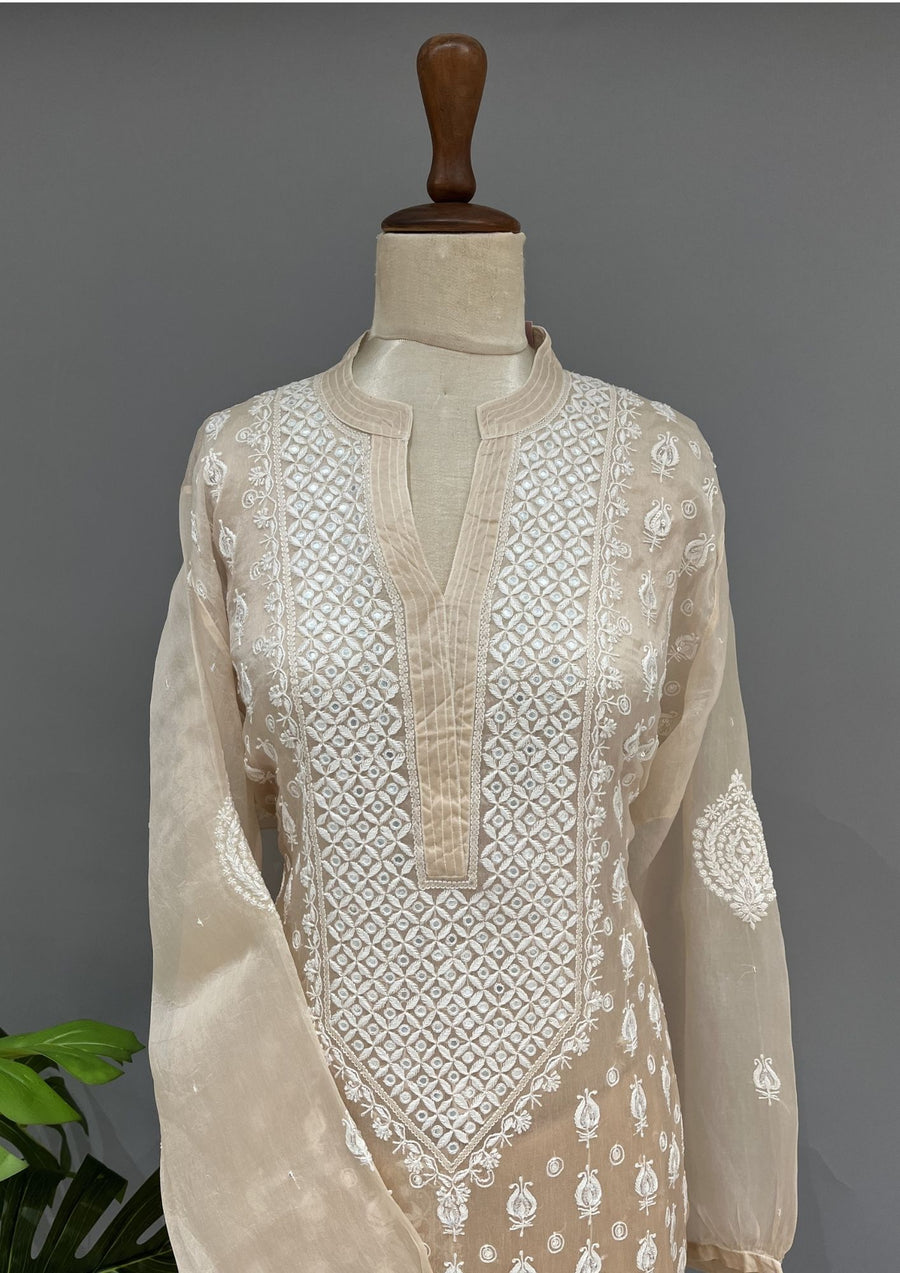Organza Chikankari Semi Stitch Co-ord Set - Coffee Latte