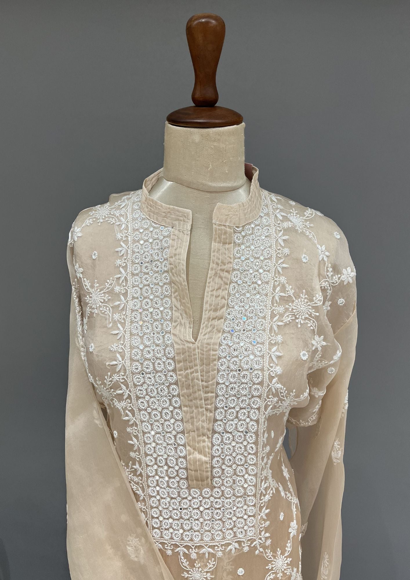 Organza Chikankari Semistitch Co-ord Set - Honey Beige