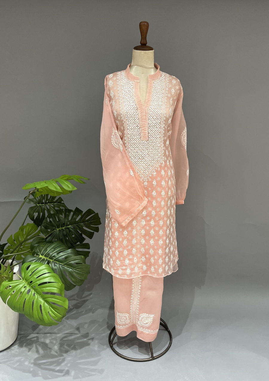 Organza Chikankari Semi Stitch Co-ord Set - Blush Peach