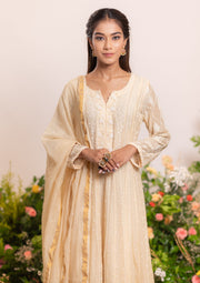 Mul Chanderi Chikankari Anarkali - Beige