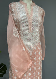 Organza Chikankari Semi Stitch Co-ord Set - Blush Peach