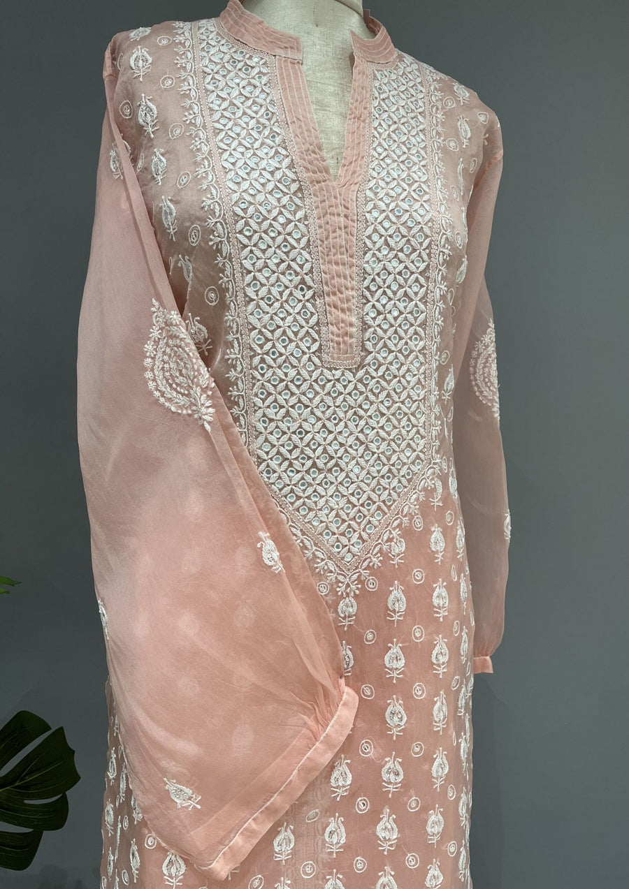 Organza Chikankari Semi Stitch Co-ord Set - Blush Peach