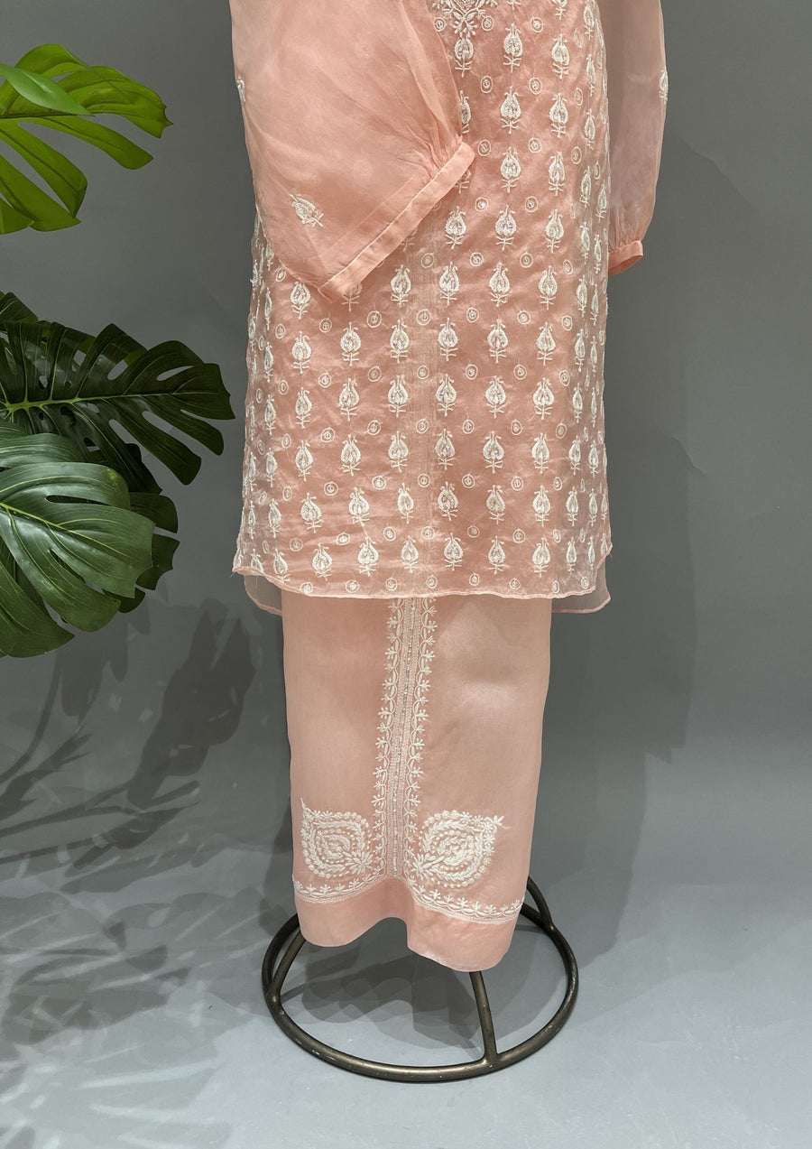 Organza Chikankari Semi Stitch Co-ord Set - Blush Peach