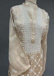 Organza Chikankari Semistitch Co-ord Set - Honey Beige