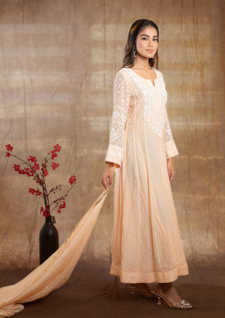 Mul Chanderi Anarkali - sc2424241