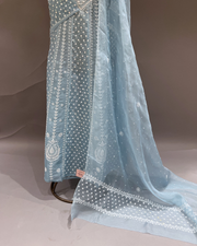 Chikankari Organza Anarkali set - Powder Blue
