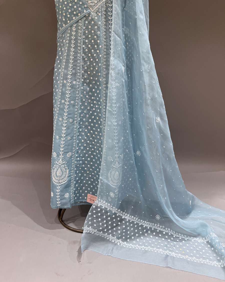 Chikankari Organza Anarkali set - Powder Blue