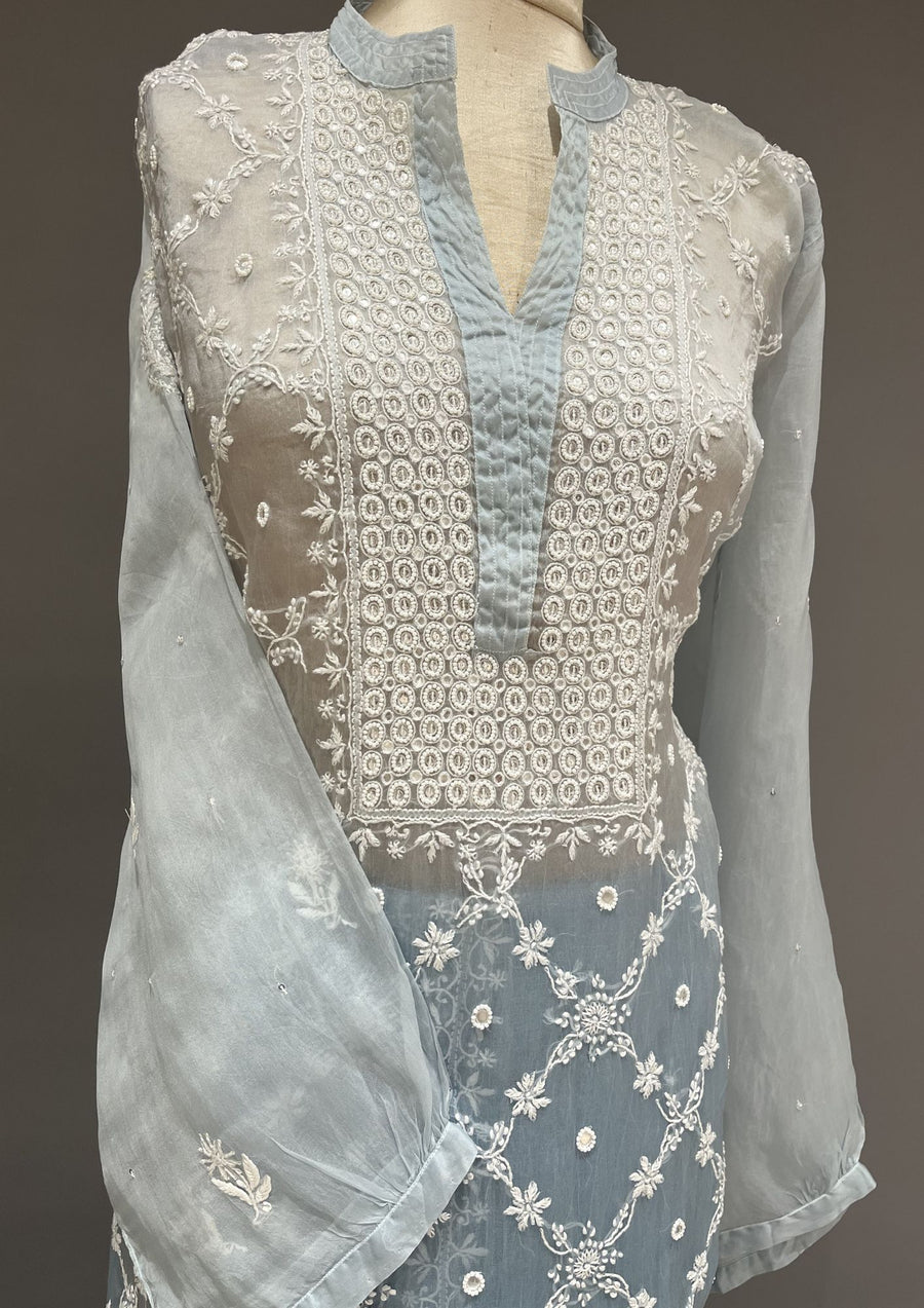 Organza Chikankari Semistitch Co-ord Set - Powder Blue
