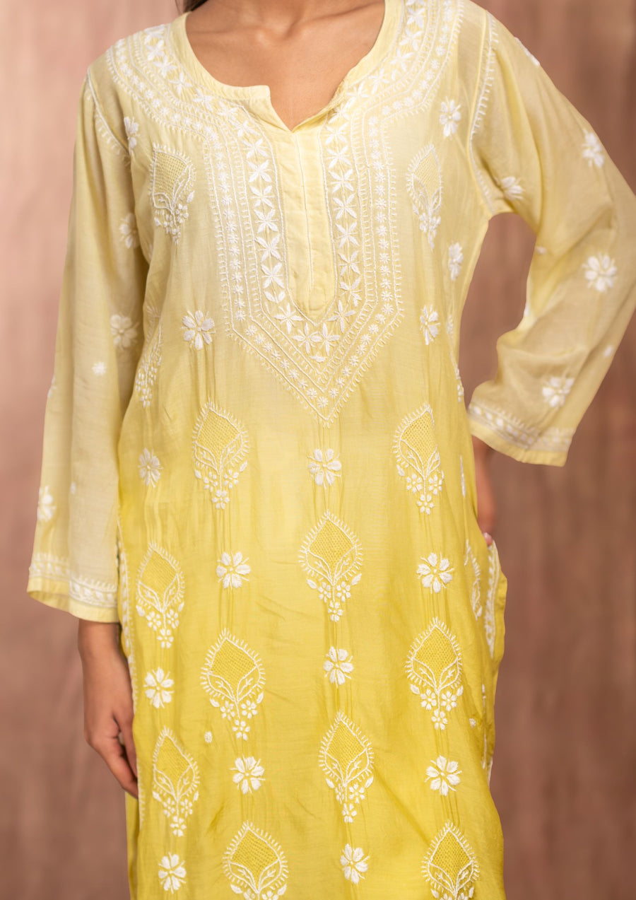 Chikankari KurtI with Muslin -SC243588