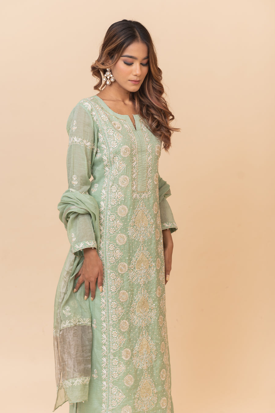 Chikankari Tissue Straight Suit Set - Mint Green