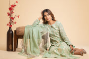 Chikankari Tissue Straight Suit Set - Mint Green