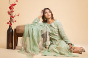 Chikankari Tissue Straight Suit Set - Mint Green