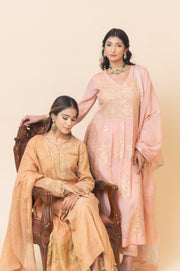 Chikankari A-Line Tissue Suit Set - Rustic Bronze