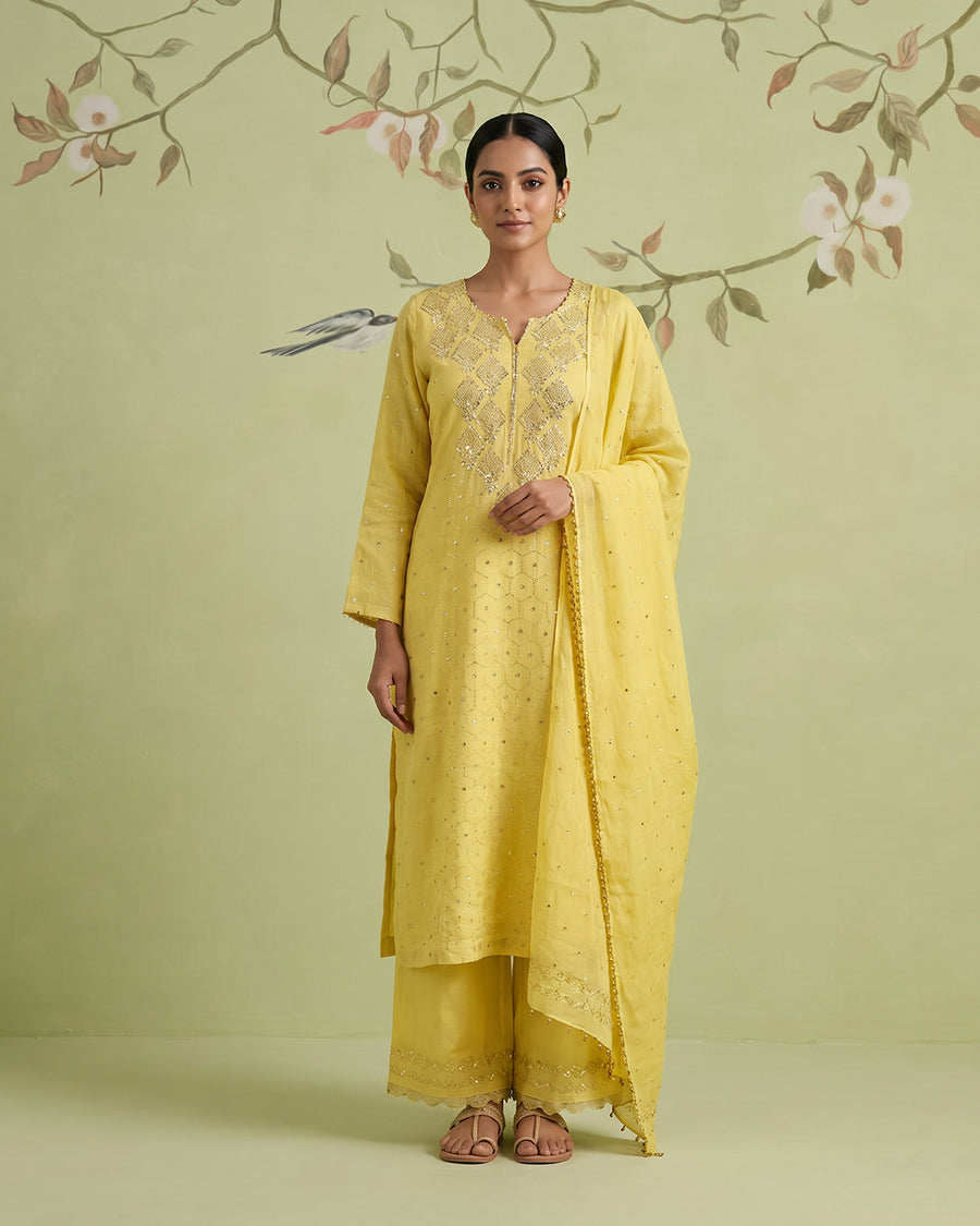 Tissue Chikankari Muqaish Suit Set - Sunflower Yellow