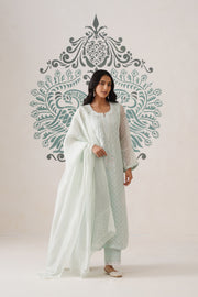 Chikankari Organza 3pc Suit - Mint Frost