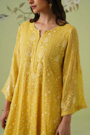 Tissue Chikankari 3pc Anarkali - Mustard Yellow