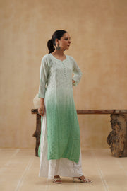 Georgette Long Kurti - Ombre Green