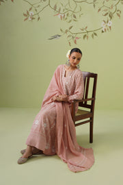 Tissue Chikankari 3pc Anarkali - Dusty Rose