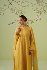 Tissue Chikankari 3pc Suit Set - Golden Yellow