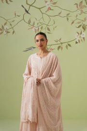 Chikankari Mul Chanderi Anarkali Set - Peach